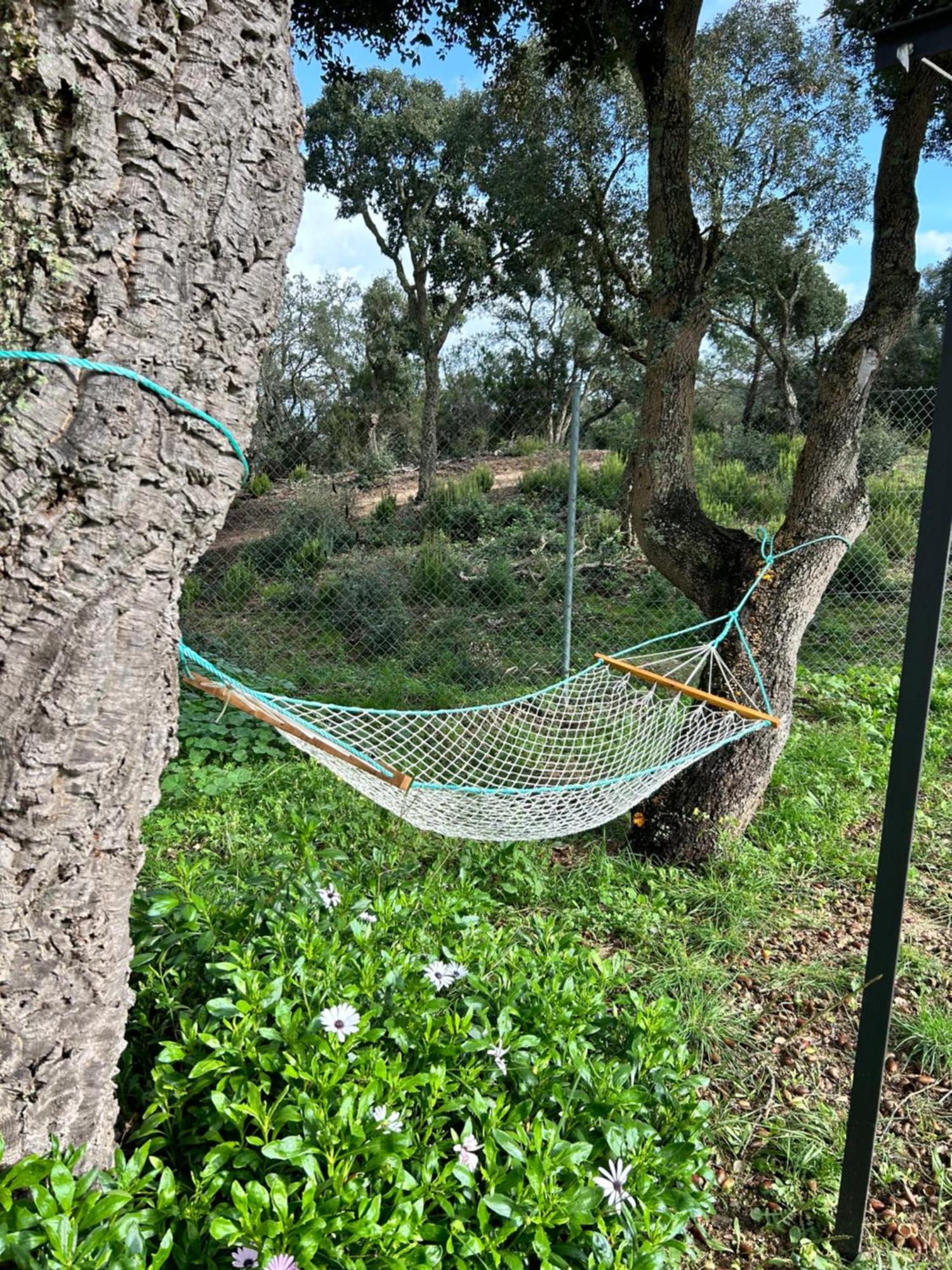 Ses Alzines Lodge