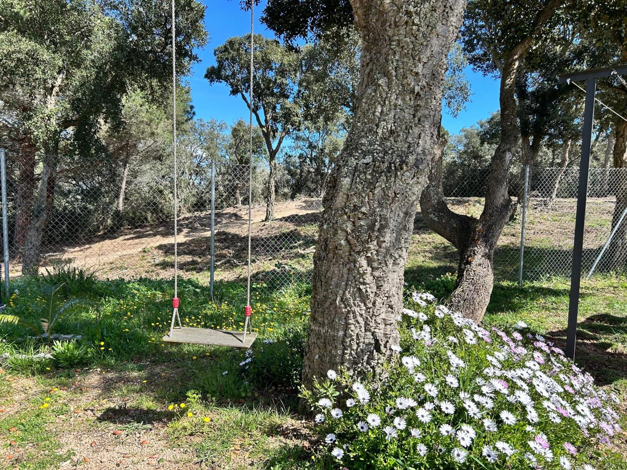 Ses Alzines Lodge